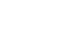 Colt Cadets
